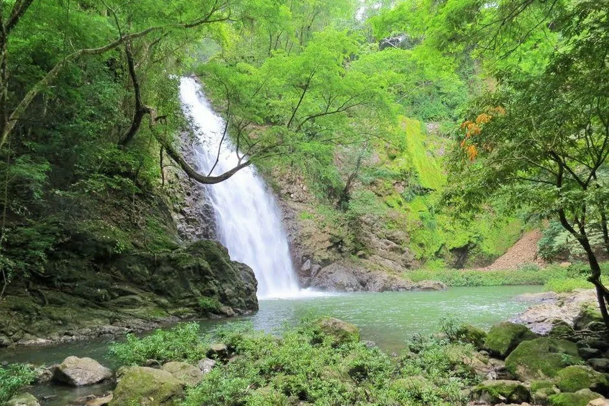 Jungle waterfall and swimming hole near Santa Teresa